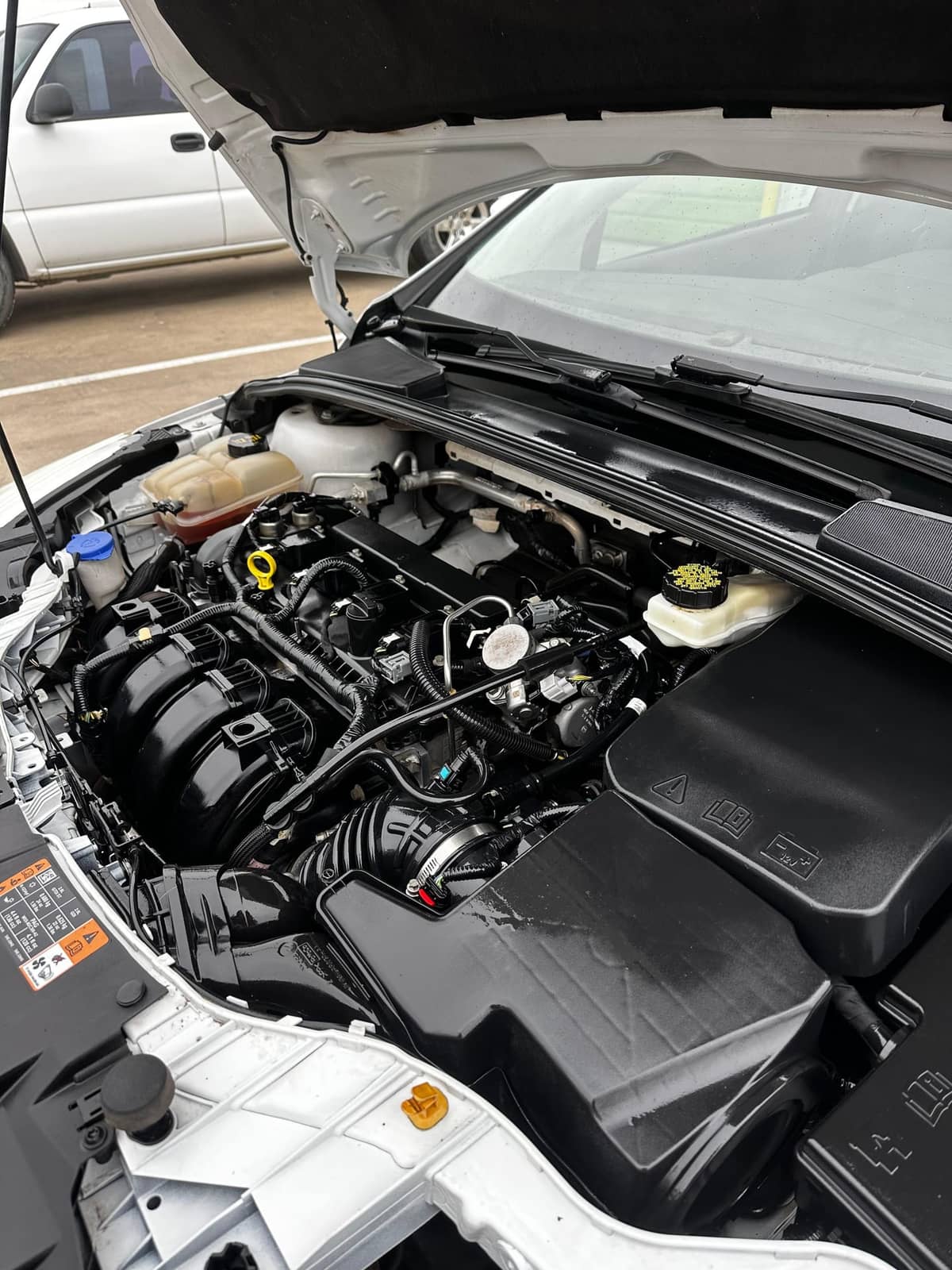 Ford Focus SE