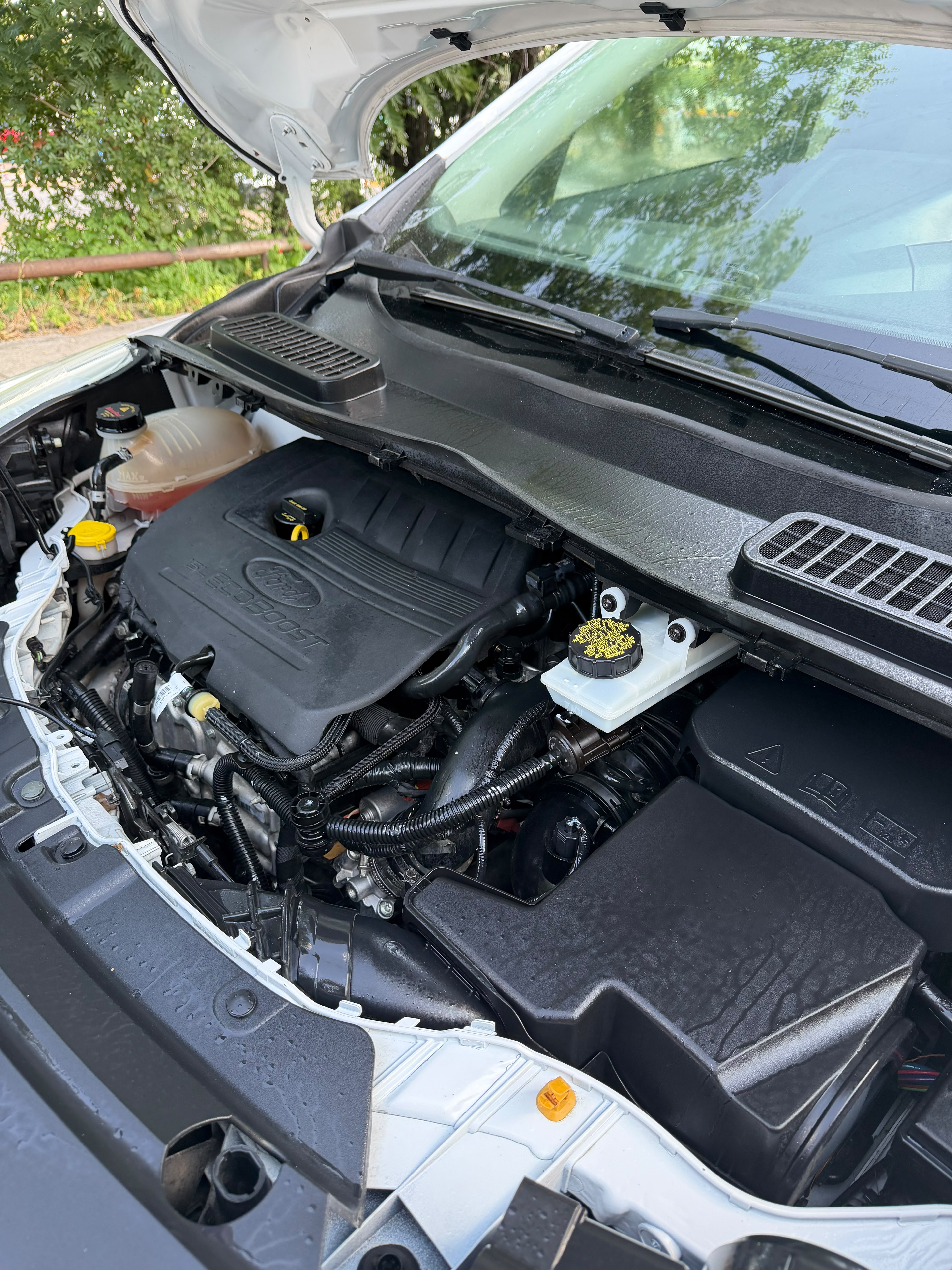 Ford Escape SEL